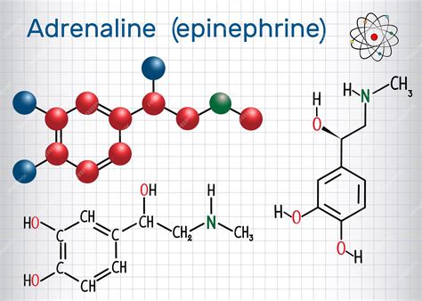 Adrenalina E Epinefrina É A Mesma Coisa