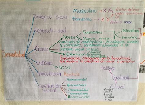 Desarrollo De Los Adolescentes Crecimiento Y Sexualidad Cooperativo