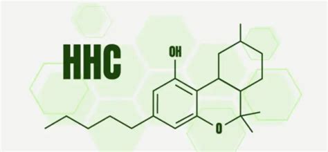 A Complete Overview Of HHC Cannabinoids The News God