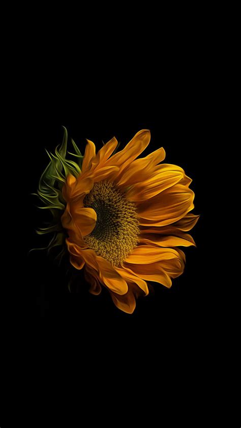 100 Dark Sunflower Wallpapers Page 2