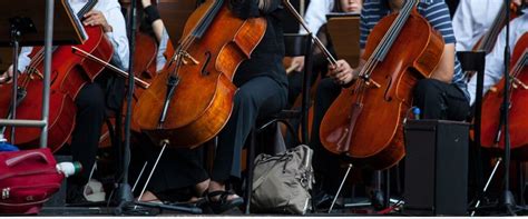 top   popular string  pieces   time garibaldi