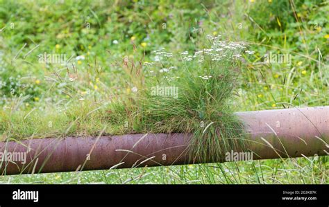 Old Water Pipe Stock Photo Alamy