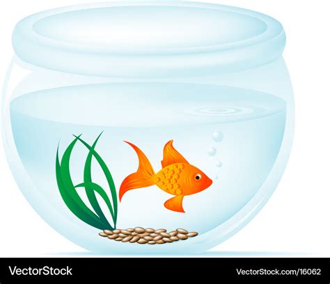 Glass Fish Bowl Vector