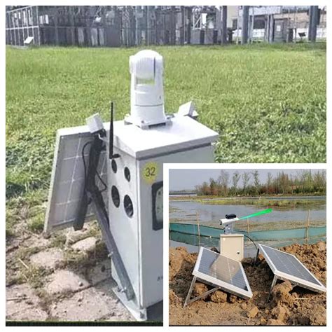 Laser Bird Deterrent Birds Laser Laser Bird Repeller And Laser Bird