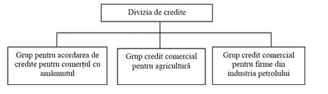 Tipuri De Structuri Organizatorice