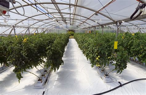 Vertical Farms The Greenhouses Teaching Healthy Eating Lifegate