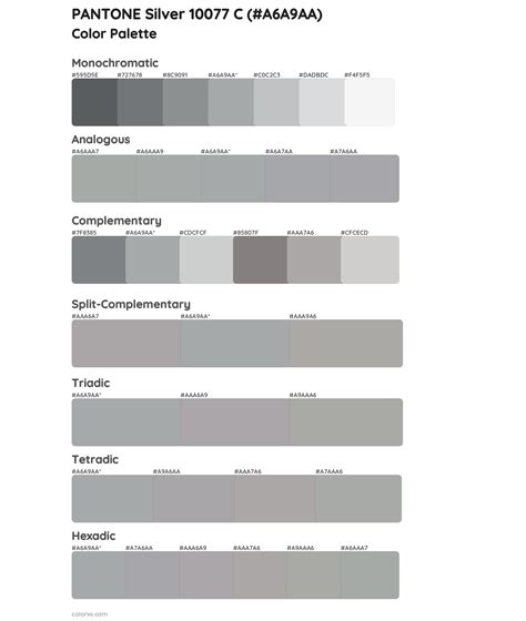 PANTONE Silver 10077 C color palettes - colorxs.com