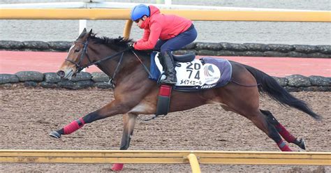 【京都牝馬s】1週前追い メイケイエールは池添謙一騎手を背に軽快「うまくコントロールが利いた」 サンスポzbat