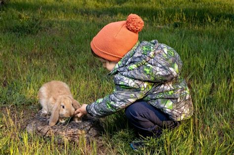 Un Ni O Peque O Juega Con Un Conejo Lop Franc S En La Hierba Verde En