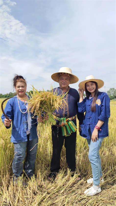 เปิดวาร์ป นาข้าว สมาคมชาวนาและเกษตรกรไทย ใช้จุรินทรีย์ ลดต้นทุน เพิ่มผลผลิต