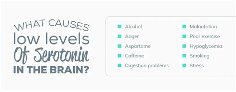 Serotonin Levels And Sexual Dysfunction Outlet Laseb Fae Ufmg Br