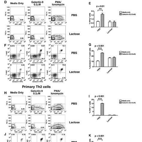 Galectin Induces Cytokine Secretion And Apoptosis In Th And Th T