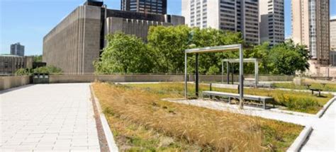 Green roof benefits for buildings