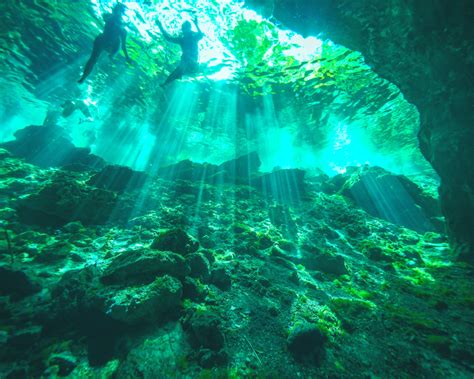 Snorkeling in the Cenotes of Tulum: An Unforgettable Experience