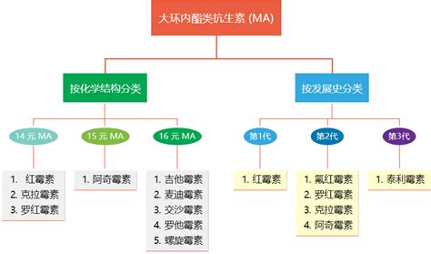 大环内酯类抗生素怎么用这几张思维导图帮你理清 丁香园