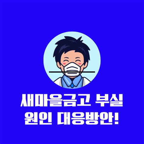 새마을금고 부실 원인 대응방안 1분안에 알아보기2024년 수익탐험가