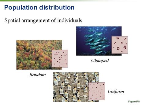 Ecology And Evolution Populations Communities And Biodiversity 4