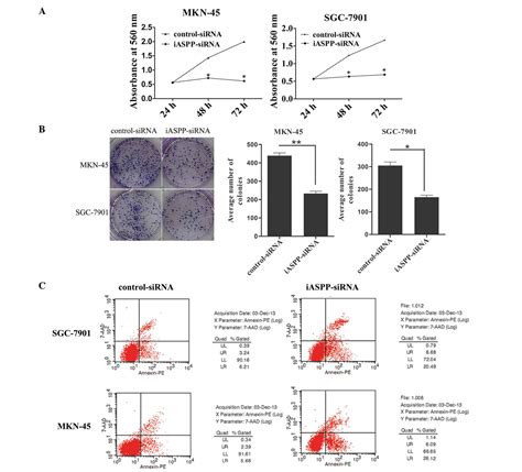 Downregulation Of Inhibitor Of Apoptosis‑stimulating Protein Of P53