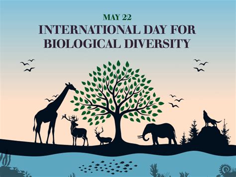 International Biodiversity Day Theme Activities Helena Aloysia