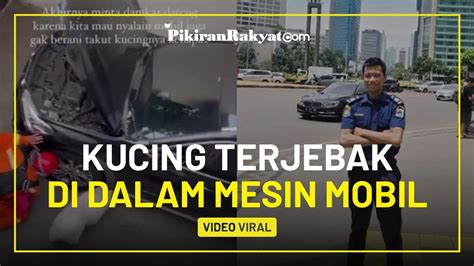 Viral Aksi Petugas Damkar Selamatkan Kucing Yang Terjebak Di Dalam