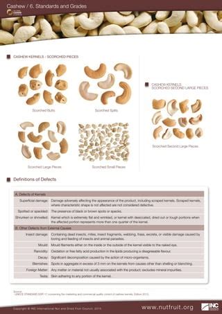 Cashew Technical Information Kit Pdf