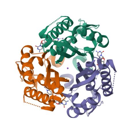 Rcsb Pdb Ke Crystal Structure Of C Methyl D Erythritol