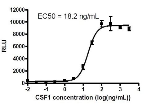 CSF1R SRE Reporter HEK293 Recombinant Cell Line BPS Bioscience