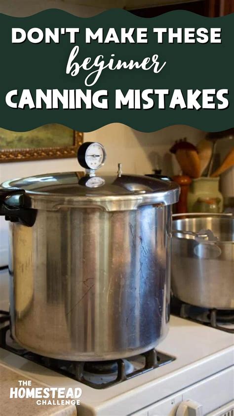 Canning Tips Essential Guide For Preserving Your Food Safely Artofit