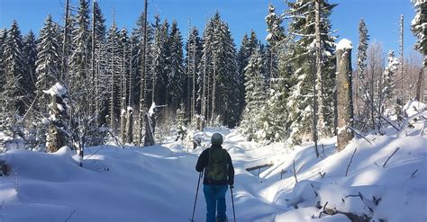 Durchs Finsterauer Filz Zur Alten Klause BERGFEX Schneeschuh Tour