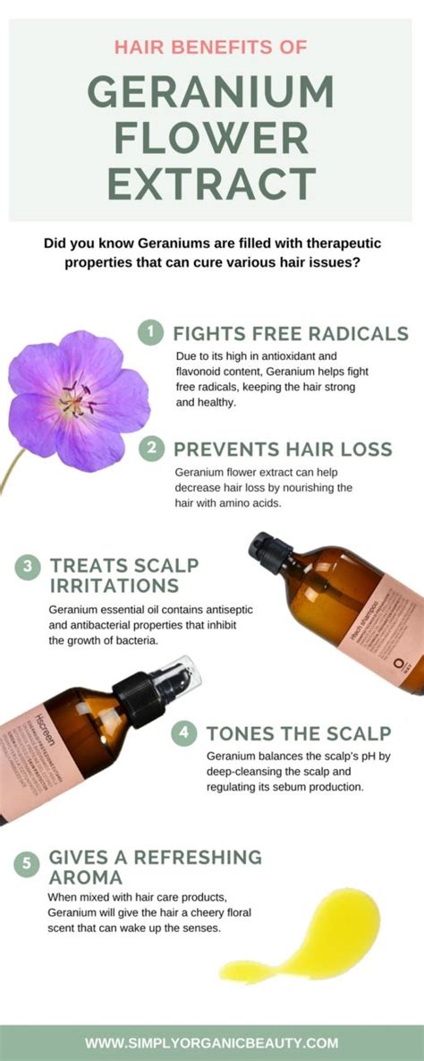 Geranium Essential Oil Benefits