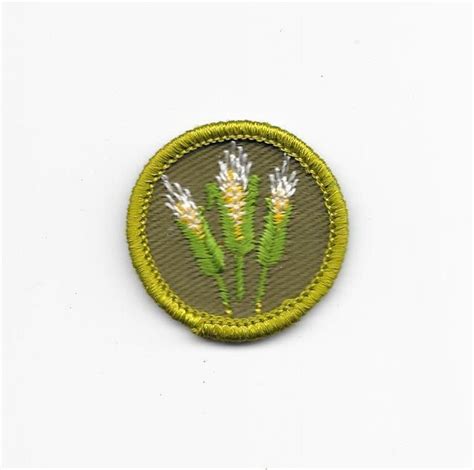 Corn Farming 1961 1968 F1 Type F Khaki Rolled Edge Merit Badge Boy