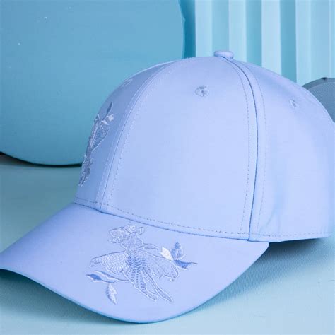 Plain Embroidery Logo Baseball Hats 6 Panels Sports Cap Custom