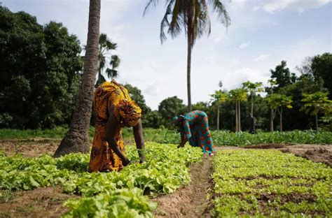 Una Nuova Agricoltura Sostenibile Per Beneficiarne Tutti