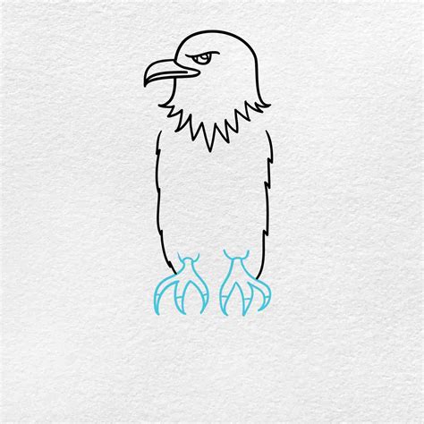 Bald Eagle Drawing - HelloArtsy
