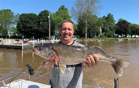 The History of Lake Erie Walleye Fishing | Walleye Sport