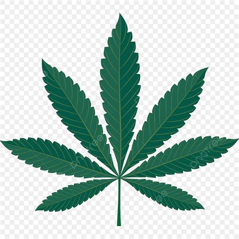 Cannabis Leaf Clipart Png Images Cannabis Leaf Icon Isolated Vector