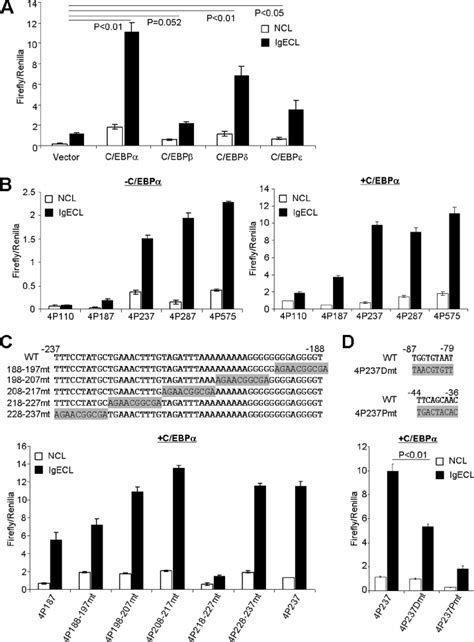 ؊ 218 To ؊ 227 Region And C Ebp ␣ Binding Sites Are Critical For C Ebp