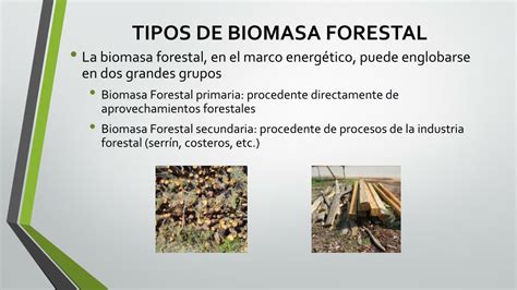 Ppt Aprovechamiento De La Biomasa Forestal Powerpoint Presentation