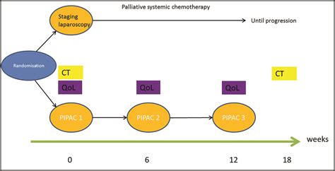 Pipac Ov A Multicenter Open Label Randomized Two Arm Phase Iii