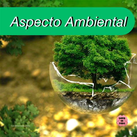 Aspecto Ambiental ¿qué Es Características Y Mucho Más