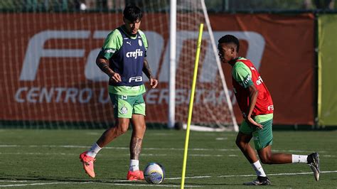 Treino T Cnico De Palmeiras Visando Jogo Contra Flamengo No Brasileir O