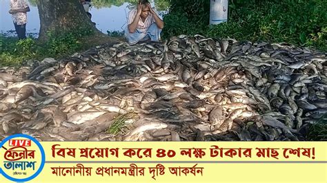 বিষ প্রয়োগ করে ৪০ লক্ষ টাকার মাছ শেষ Youtube