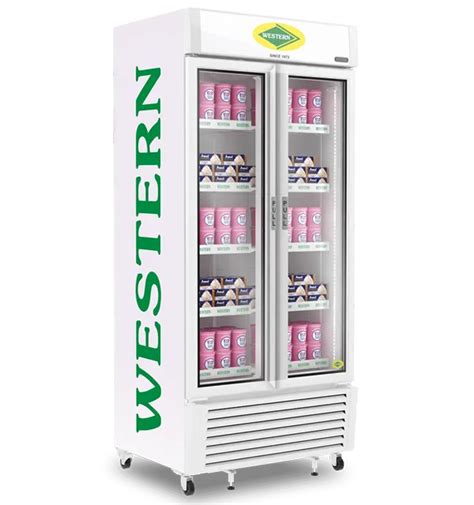 L Medium Western Vertical Deep Freezers At Rs In Ghaziabad