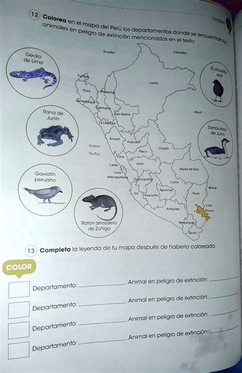 SOLVED 12 Colorea en el mapa del Perú los departamentos donde se