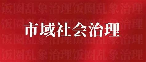 统筹发展和安全 推进市域社会治理现代化 坚决扛起防范化解市域公共安全风险责任 ——第七次全国市域社会治理现代化试点创新研讨班侧记 领域 数据 重点