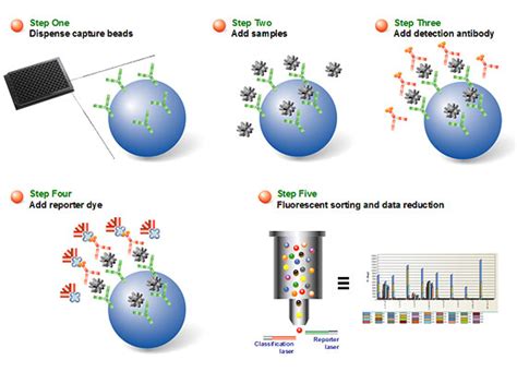 Bio Plex Multiplex Immunoassays Design And Technology Bio Rad