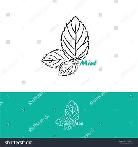 Mint Logo Design Vector Template Stock Vector (Royalty Free) 510884413 ...