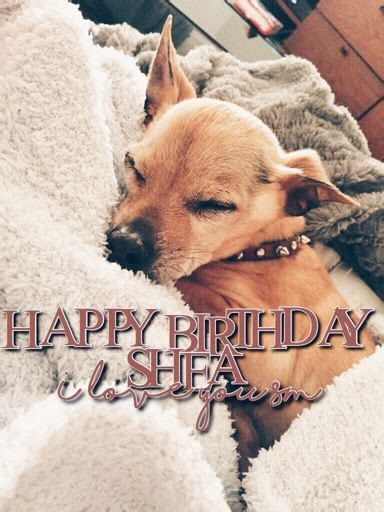 Happy Birthday Shea Sims Amino