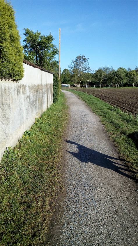 Meerbusch Ärger auf geteiltem Rad Fuß Weg in Lank Latum