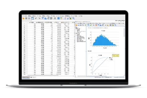 SPSSの使い方 IBM SPSS Statistics超入門 第5回はじめにデータを確認してみよう記述統計編 データ分析を